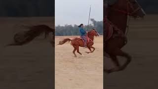 Most famous rider Shahzad khan gajjal hHaripur Hazara champion kpk ghora SULTAN part 6