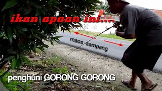 UMPAN JITU...BANYAK YANG BELUM TAU SPOT SEPERTI INI....