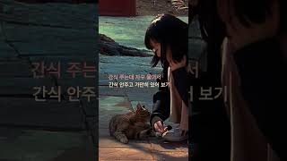 간식 내놓으라고 보채는 애교냥이~ 앞으로는 물지마 야옹아~