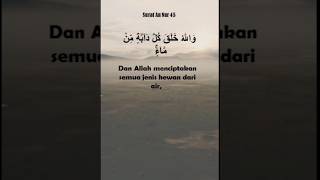 Surat An Nur 45: Semua Jenis Hewan | Petikan Ayat Al Quran