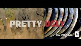 Pretty Ugly: Wildlife Crime