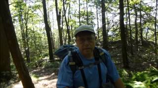 Peters Mountain Shelter AT overnight