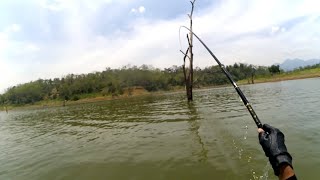 Mancing di sini masih dapat bonus  ikan nila