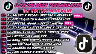 DJ SLOWBASS TERBARU 2024 | DJ SALEHO X MELODY SPECTRE | DJ EST CE QUE TU M'AIMES VIRAL TIK TOK