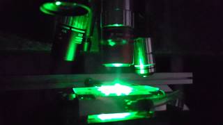 Femtosecond laser waveguide writing in green