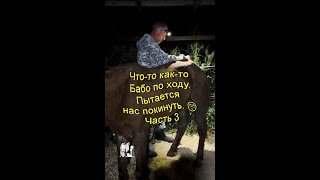 Что то, как то Бабо по ходу  Все долго Часть 3