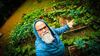 Companion planting is not what you think.