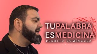 TU PALABRA ES MEDICINA - Pedrito Domínguez (Video Lyric)