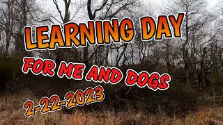 DELAWARE RABBIT DOG HUNTING DEER DEER DEER LEARNING DAY TODAY.