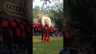 Proses belajar menjadi Pembarong Reog || Semangat bro