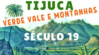 TIJUCA NO SÉCULO 19 - VALE E MONTANHAS