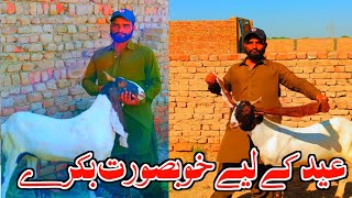 Bakra Eid 2024 || Latest updates