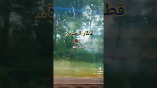 قناة روز.حالات وتسأب حزينة.قطار الحياة.موسيقى رائعة