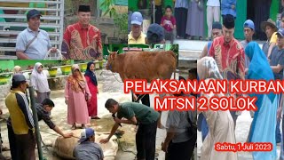 MTsN 2 Solok Laksanakan Kurban | Idul Adha 1444 H/2023 M