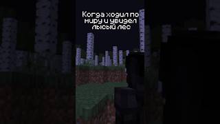 Херобрин?😱 #майнкрафт #minecraft #майн #viral