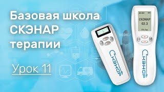 Базовая школа по СКЭНАР терапии. Урок 11