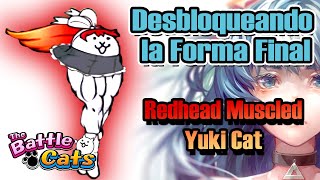 FORMA FINAL de Redhead Yuki Cat - Redhead Muscled Yuki Cat | Shoumetsu Toshi x The Battle Cats