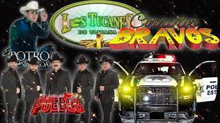 Corridos Bravos 💥Los Tucanes De Tijuana 🆚 El Potro De Sinaloa 💥💥💥