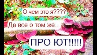 Про ЮТ... Про будущее... про всякие мысли....