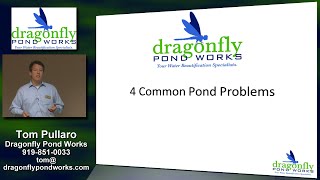 Dragonfly Pond Works Presentation