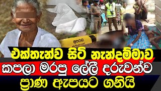 ඒ අම්මට හිටියේ ඒ ළමයි දෙන්නා විතරයි නැන්දම්මව මරලා දරුවෝ දෙන්නට ලේලී කරපු අපරාධේ