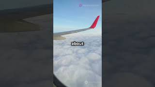 Why Airplane Windows Are Round?