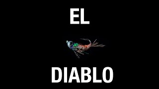 Learn How to Tie the El Diablo