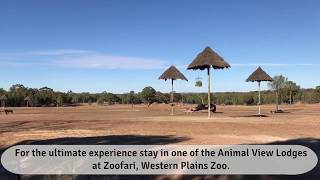 Zoofari Lodge Dubbo Zoo