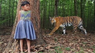 tiger attack man in the forest | tiger attack in jungle, royal bengal tiger attack