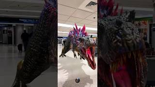 The Apex strong Mortem Rex in Miami international airport in Florida he Roars and playing (AR) JWA￼