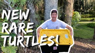 We Got A Shipment Of Critically Endangered Turtles! | Primitive Predators