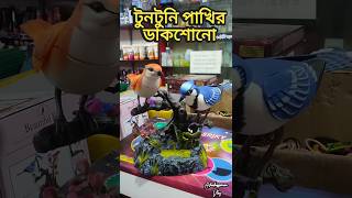 টুনি পাখির গান শোনাও #shorts #shortsviral #টুনটুনি পাখি