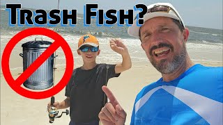 "TRASH FISH" Catch & Cook! Creek Traps, Bass fishing, Beach Fishing