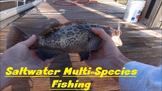 Dock Fishing a Saltwater Creek with Artificials (Murrells Inlet, SC)