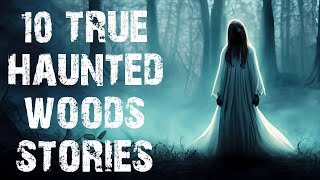 10 TRUE Disturbing Haunted Woods Scary Stories | Horror Stories To Fall Asleep To