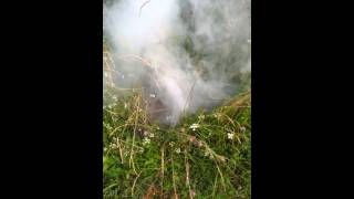 Explosive weed whacking