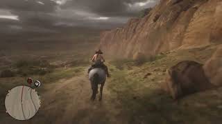 Red Dead Redemption 2_20241110180630