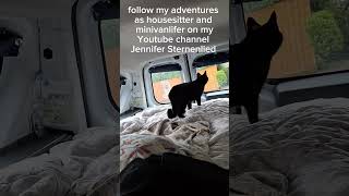 #beautifulcat #blackcat #cats #catlove #vanlife #minivan #catlovers #catadventures