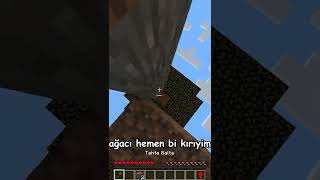 Minecraft AMA Dünya TERS