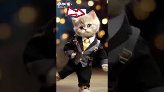 kucing lucu joget #djremix #shorts