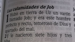 Biblia en Vivo - Job 1 (Las calamidades de Job) y 2 Pedro 3 (El día del Señor vendrá) RVR1960