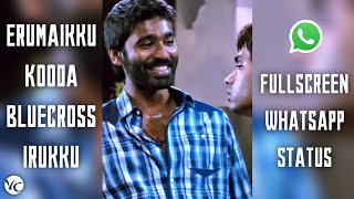 Erumaikku Kooda | Udhungada Sangu | VIP | Danush | FullScreen Whatsapp status | 1080p 60FPS