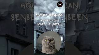 👻 How Pets Can Sense the Unseen 🐶🐱 #shorts #halloween2023