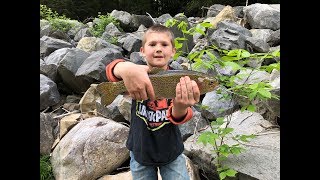 Shavers Fork trout fishing video: A trout slam for us