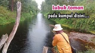 KENDALA HUJAN..!!! KALAU GAK BISA HABIS IKAN TOMAN DILUBUK INI // CASTING TOMAN