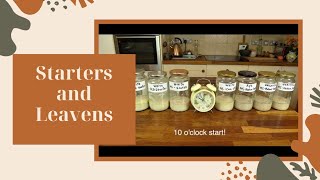 Starters and Leavens - How Ingredients, Time and Temperature affect Your Starter