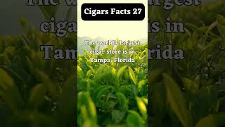 Cigars facts 27