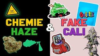 Dealer vergiften unsere Generation ☠️ || CHEMIE GRAS, FAKE CALI & PGR´s || So erkennst du es!