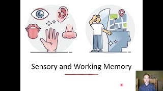 Sensory and Working Memory