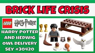 LEGO Harry Potter and Hedwig Owl Delivery Set #30420